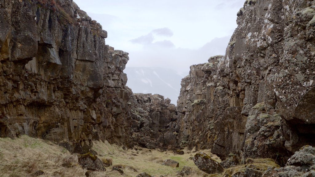 Parque Nacional Þingvellir mostrando un barranco o cañón