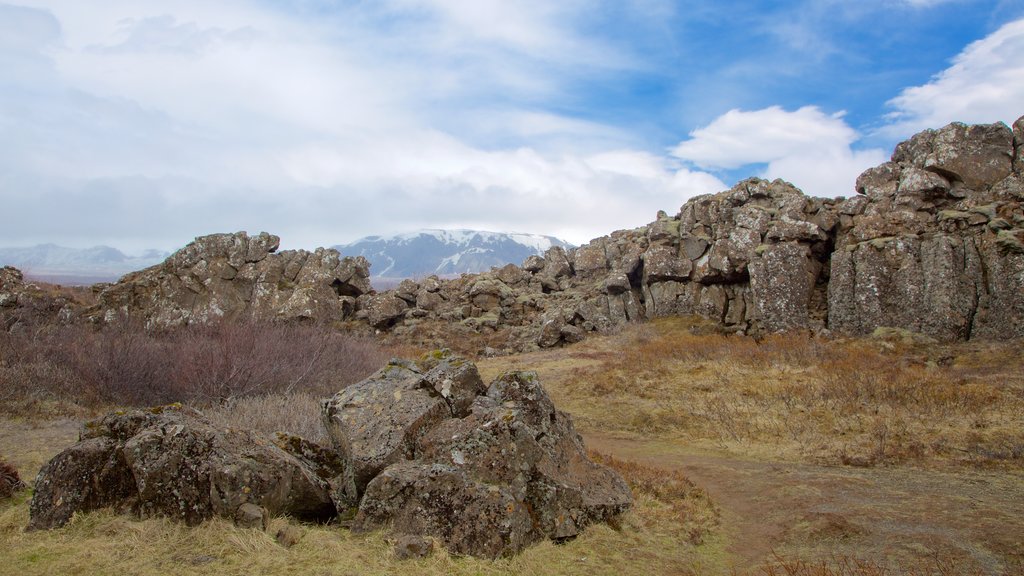 Thingvellir National Park showing tranquil scenes