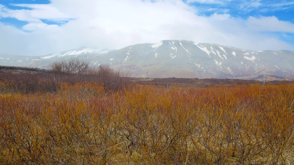 Parc national de Thingvellir montrant paysages paisibles