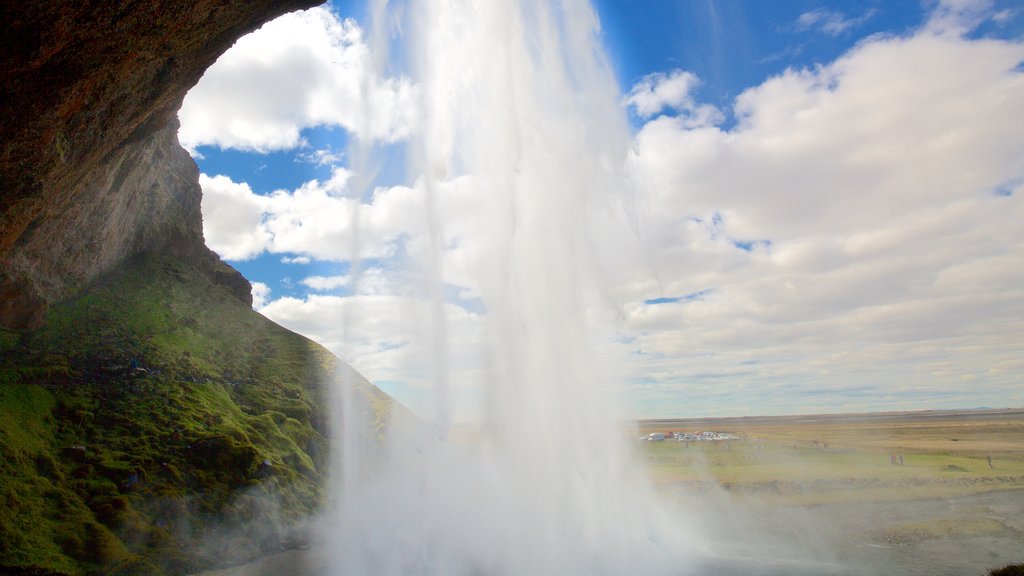 Seljalandsfoss que incluye una cascada