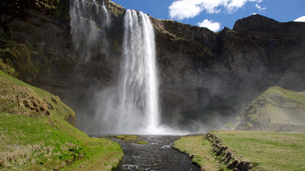 Seljalandsfoss mostrando uma cascata e um rio ou córrego