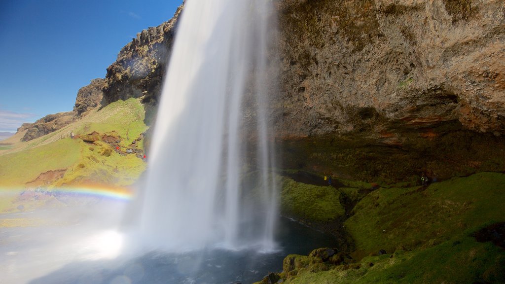 Seljalandsfoss showing a waterfall