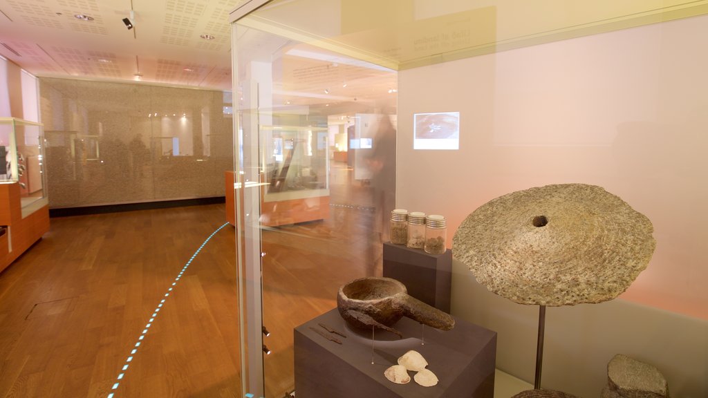 National Museum of Iceland showing interior views