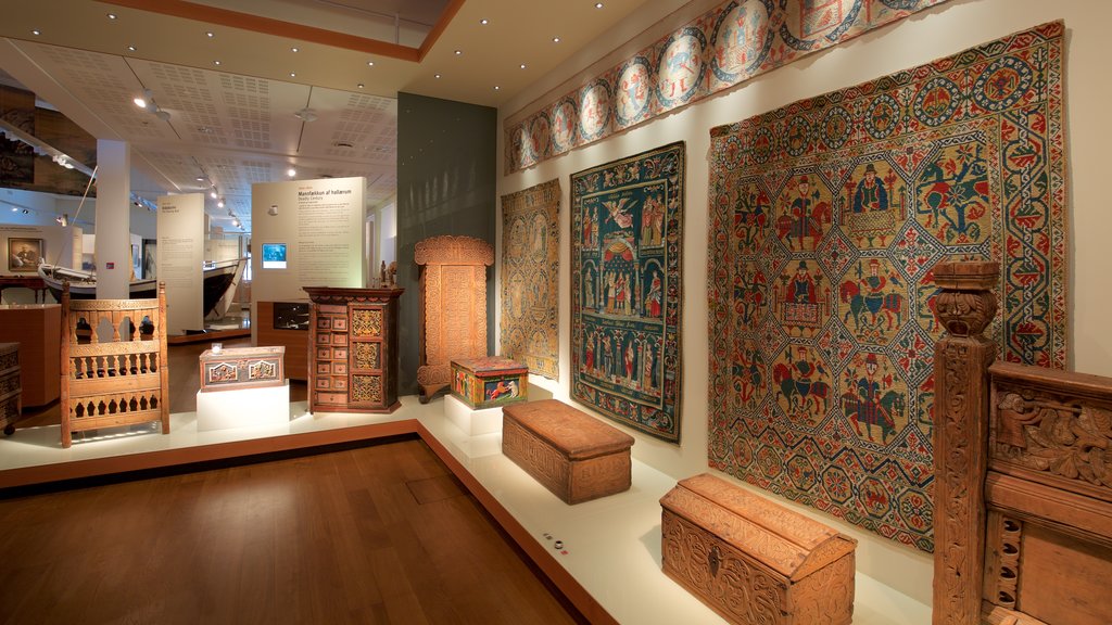 Nationale Museum van IJsland inclusief interieur