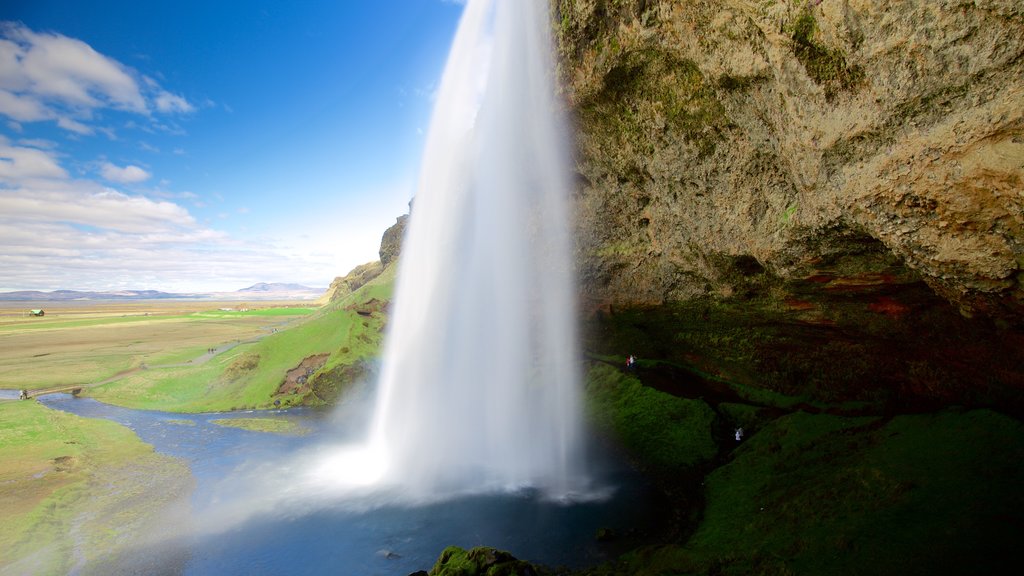 Seljalandsfoss som inkluderer vannfall