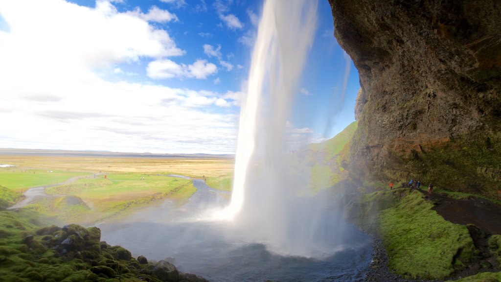 Seljalandsfoss som inkluderer fossefall