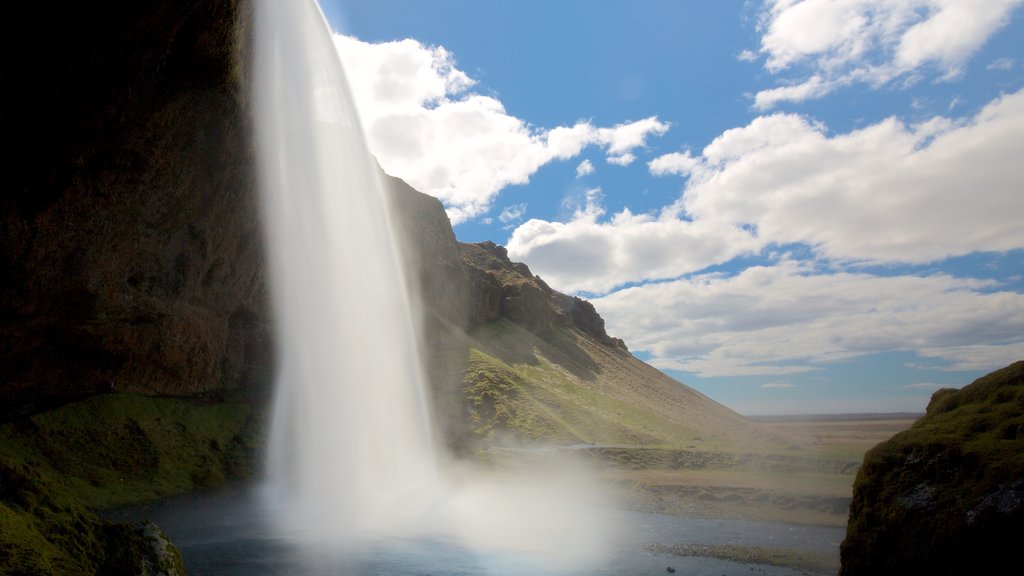 Seljalandsfoss which includes a waterfall