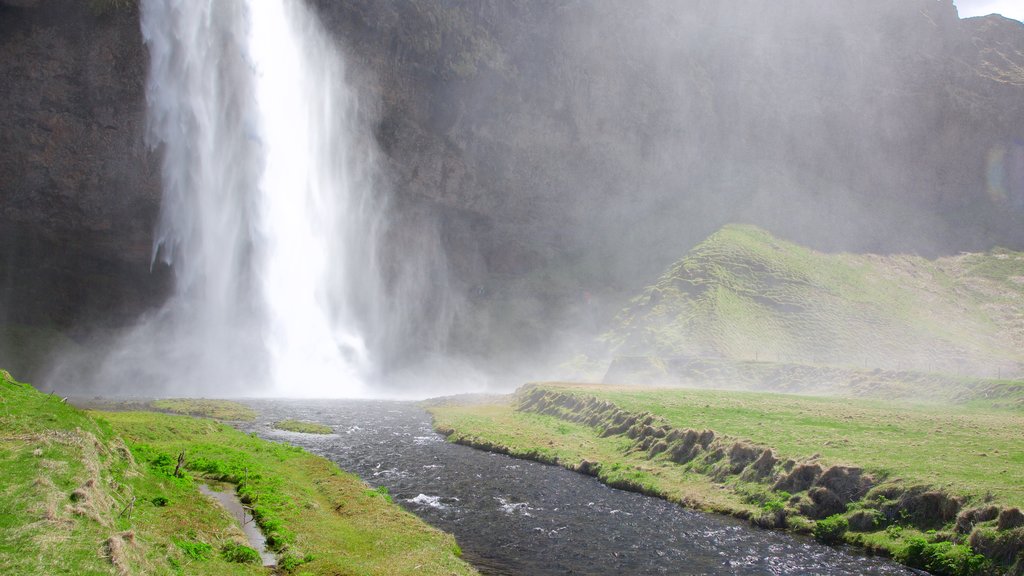 Seljalandsfoss featuring a waterfall and a river or creek