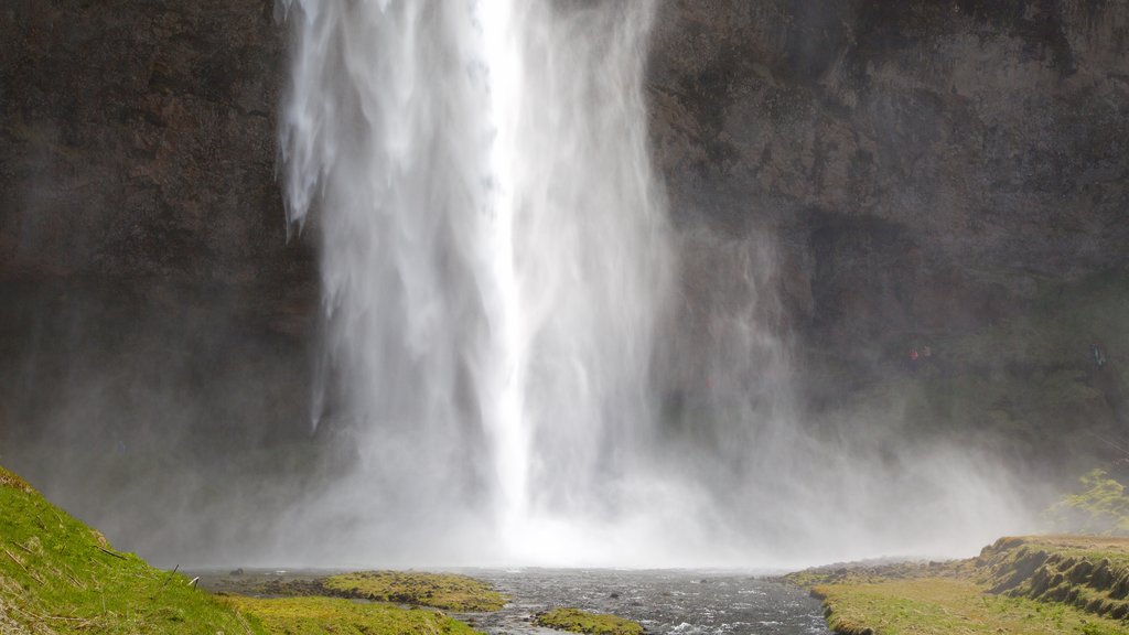 Seljalandsfoss showing a waterfall