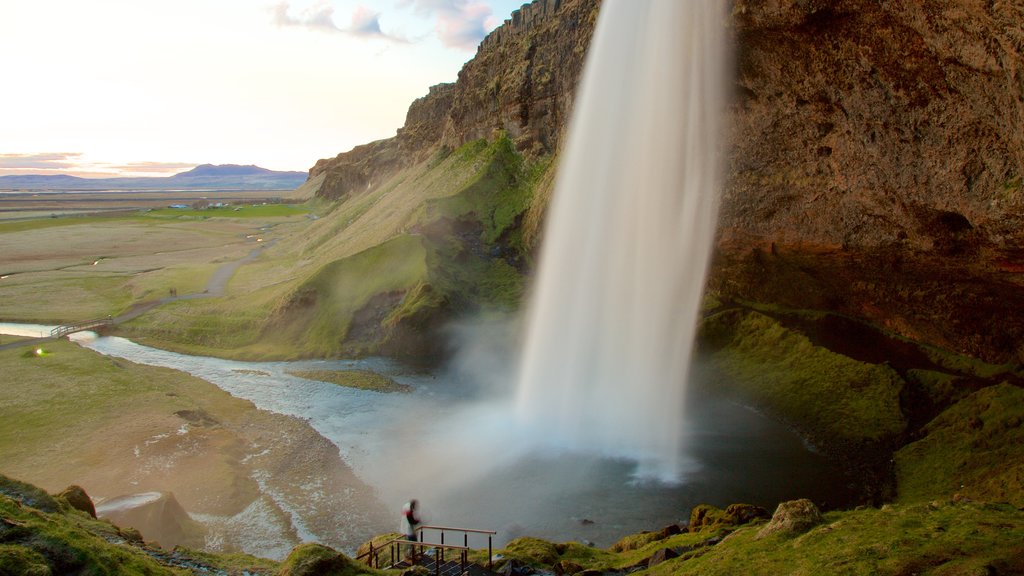 Seljalandsfoss que incluye cataratas