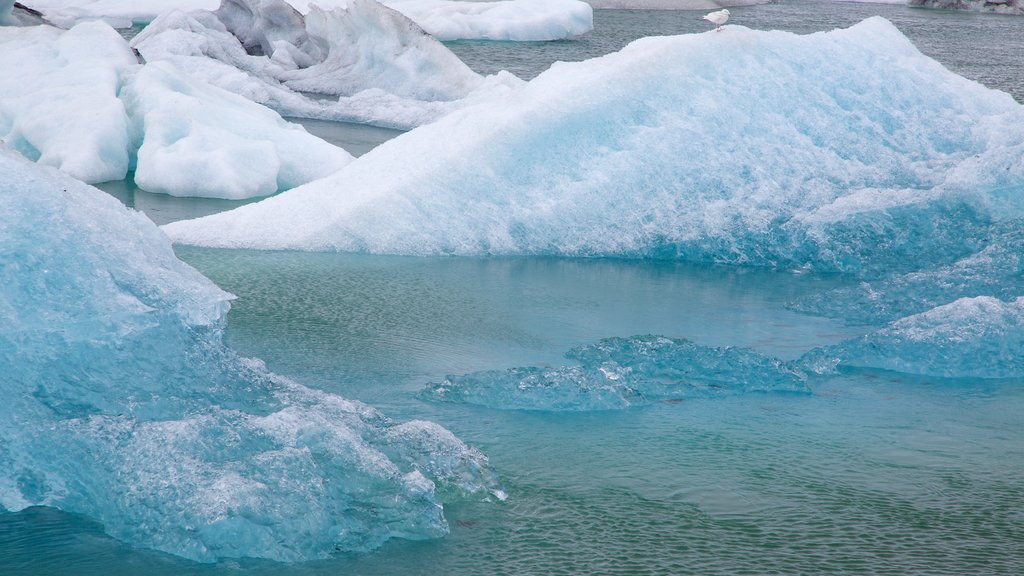 Lago Jokulsarlon mostrando nieve y vista general a la costa