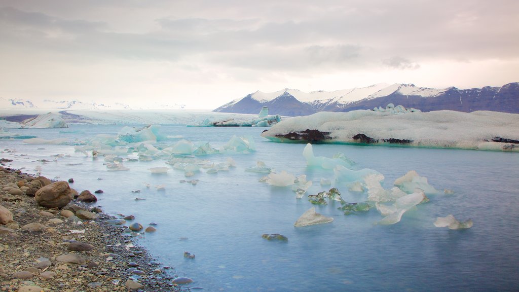 Jokulsarlon Lagoon which includes general coastal views and snow