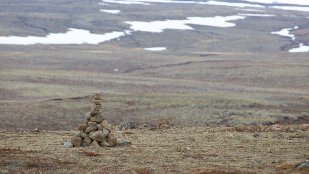 Thingvellir National Park caracterizando cenas tranquilas