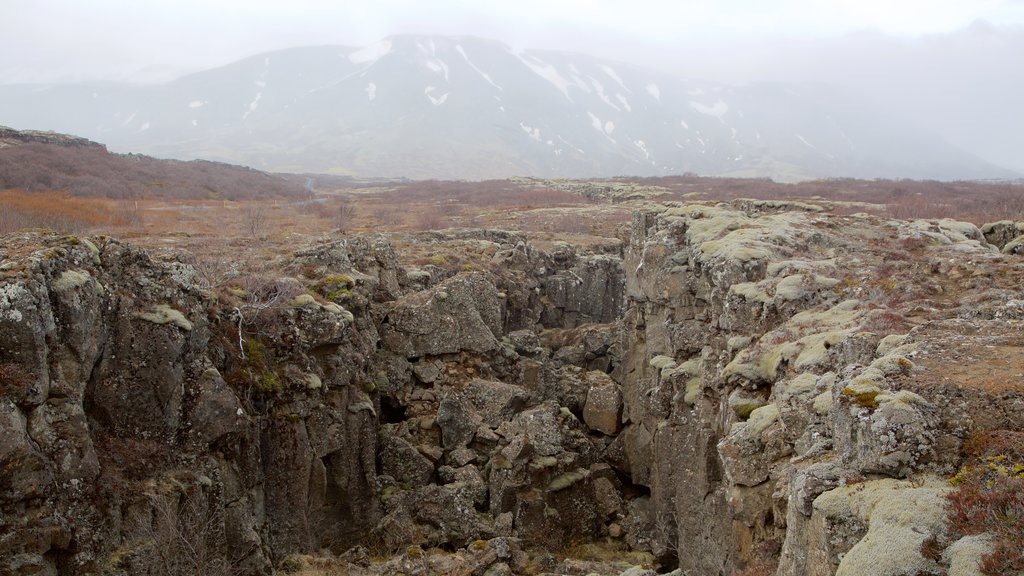 Thingvellir National Park mostrando cenas tranquilas