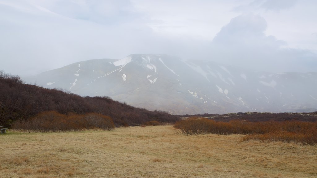 Thingvellir nasjonalpark som viser rolig landskap og tåke