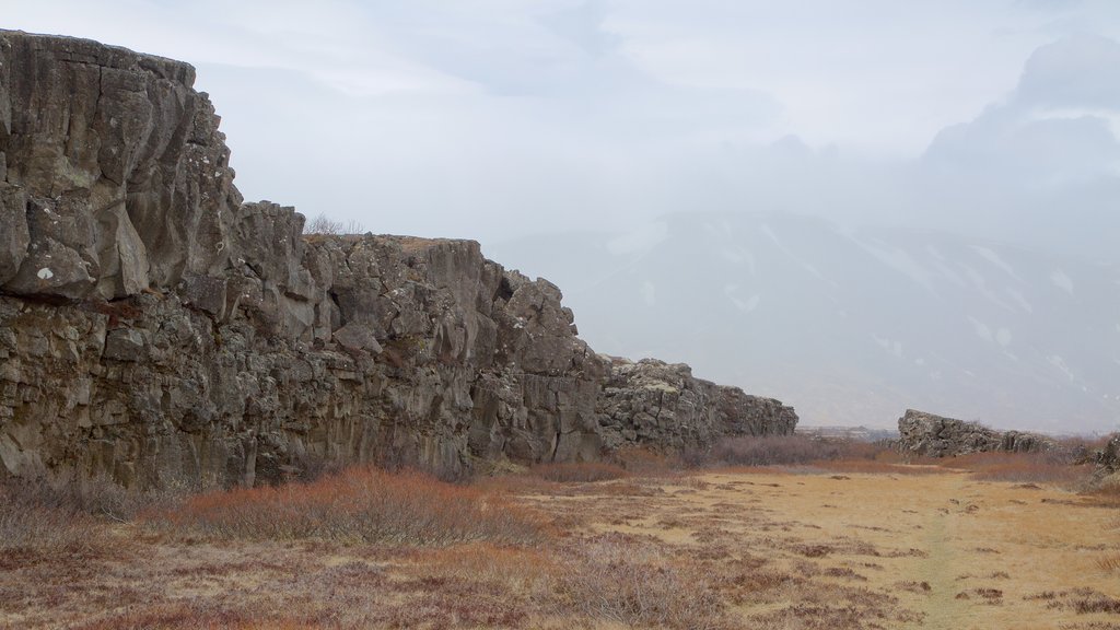 Thingvellir National Park showing tranquil scenes and mist or fog