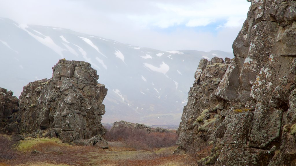 Thingvellir National Park mostrando cenas tranquilas e neblina