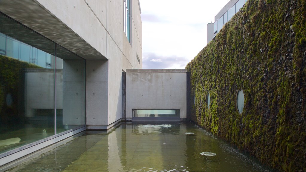 Reykjavik City Hall showing a pond