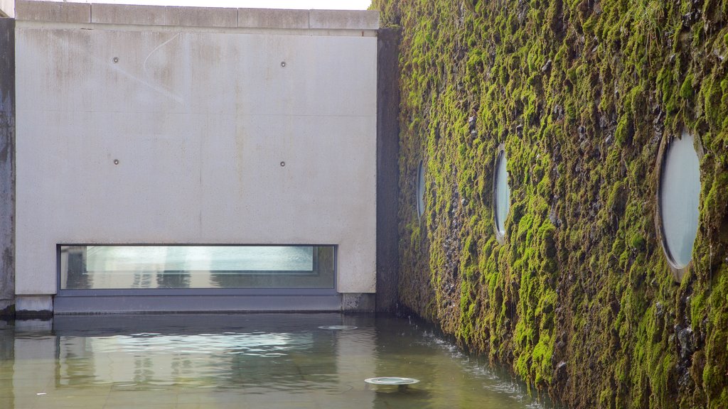 Reykjavik City Hall showing a pond