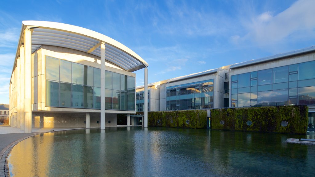 Reykjavik City Hall showing modern architecture and a pond