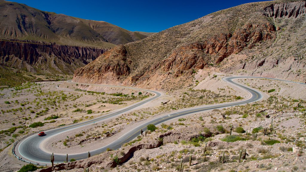 Jujuy mostrando montañas y vista al desierto