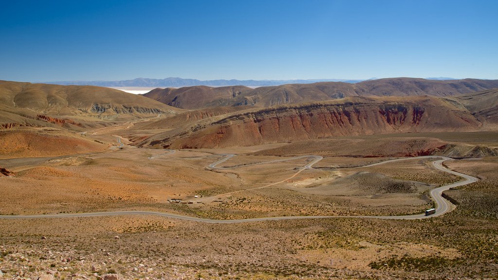 Jujuy ofreciendo montañas y vista al desierto