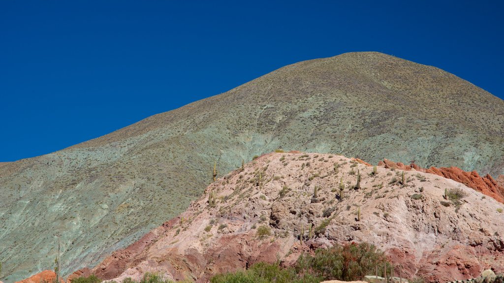 Purmamarca som inkluderar berg