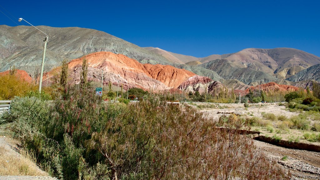 Purmamarca ofreciendo vistas al desierto