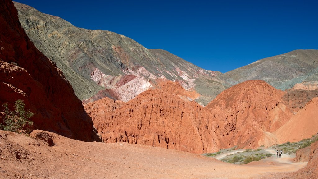 Purmamarca featuring desert views and mountains