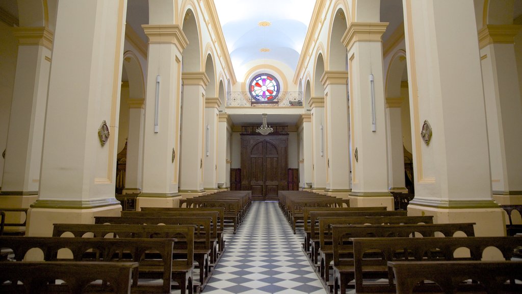 Cafayate que incluye vista interna, aspectos religiosos y una iglesia o catedral