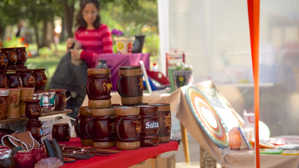 Plaza Guemes showing markets