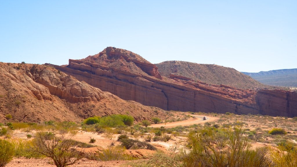 Salta which includes desert views