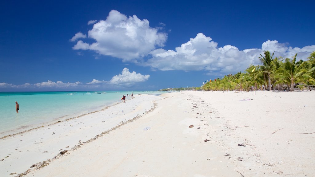 Santa Fe que incluye una playa de arena y vista general a la costa