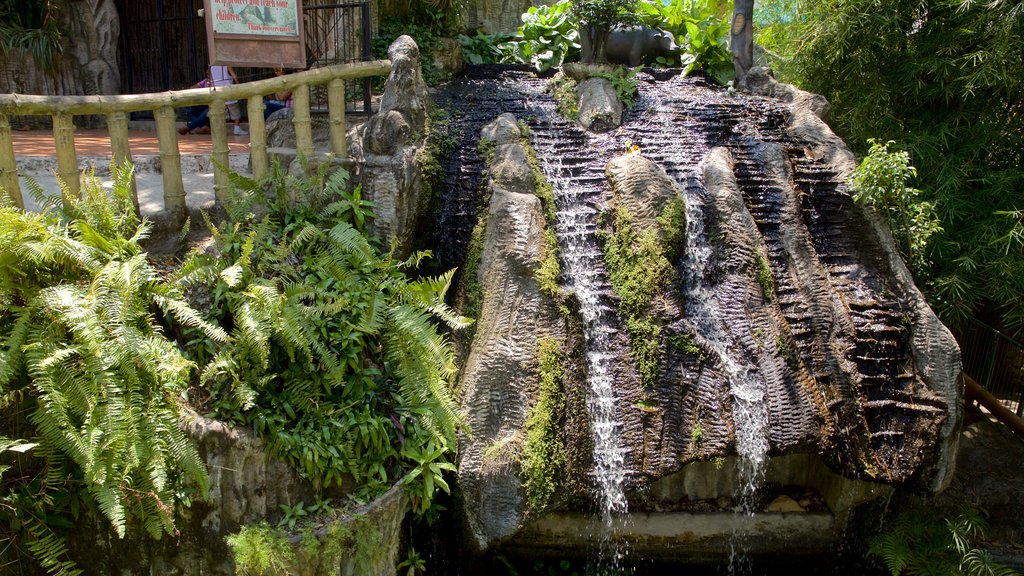 Simala Shrine featuring a waterfall and a garden