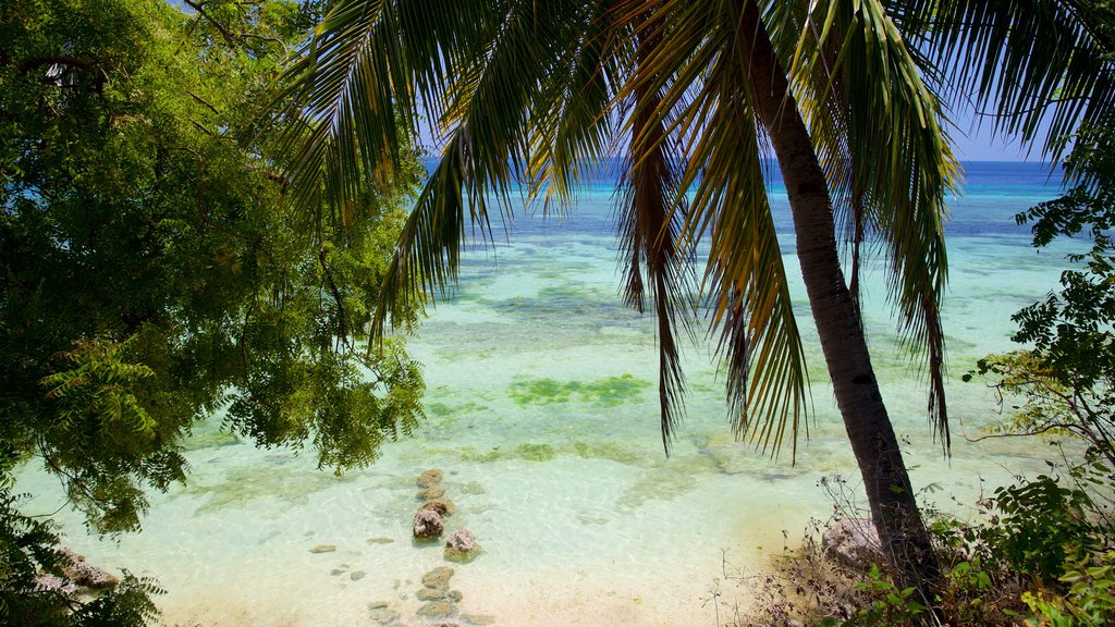 Oslob Beach showing general coastal views