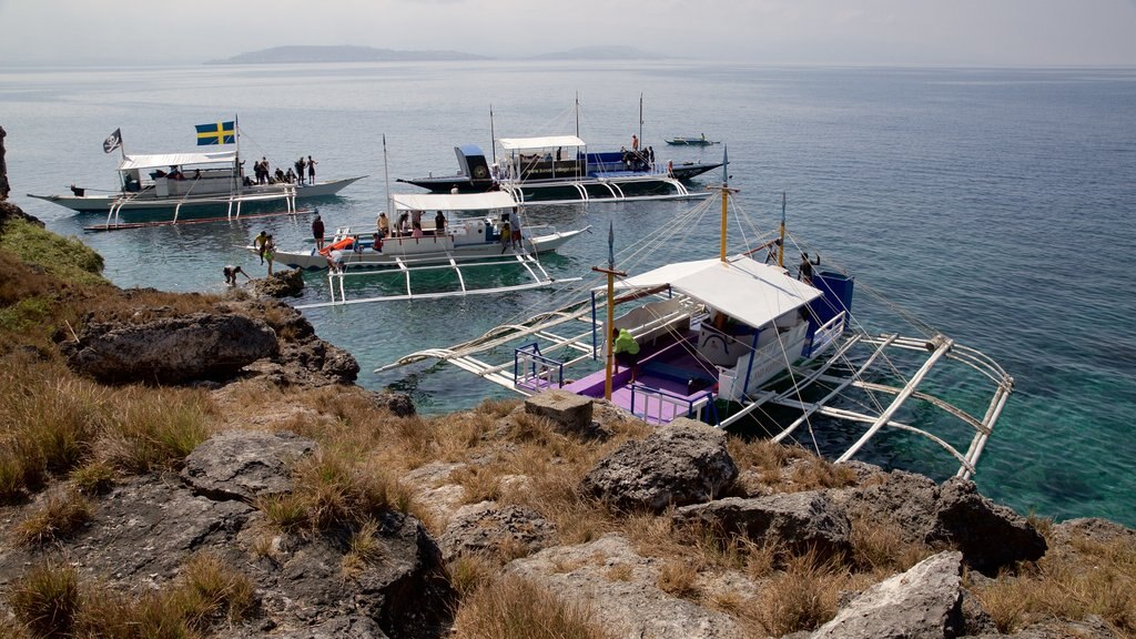 Isla Pescador mostrando costa rocosa