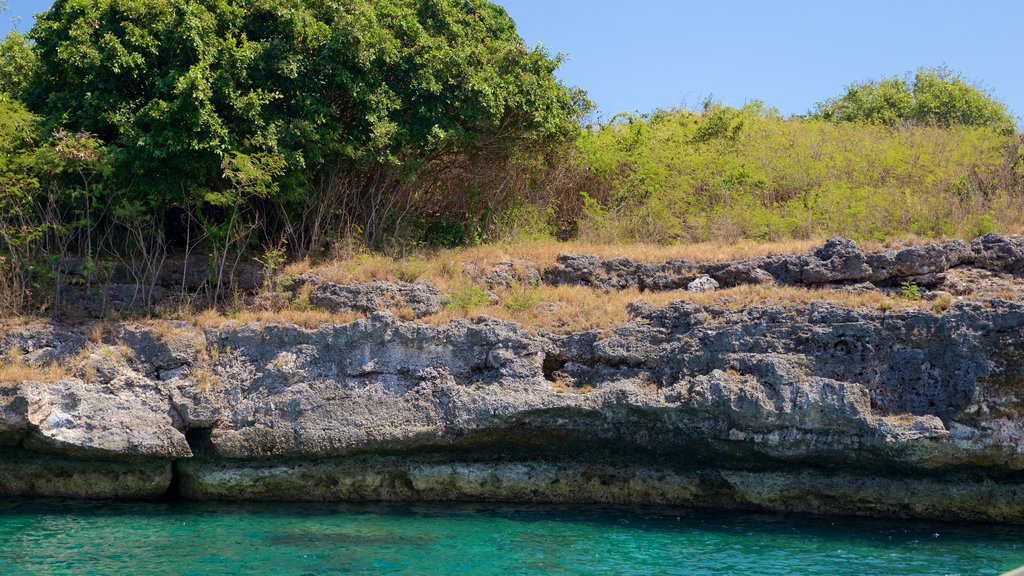 Isla Pescador que incluye costa escarpada