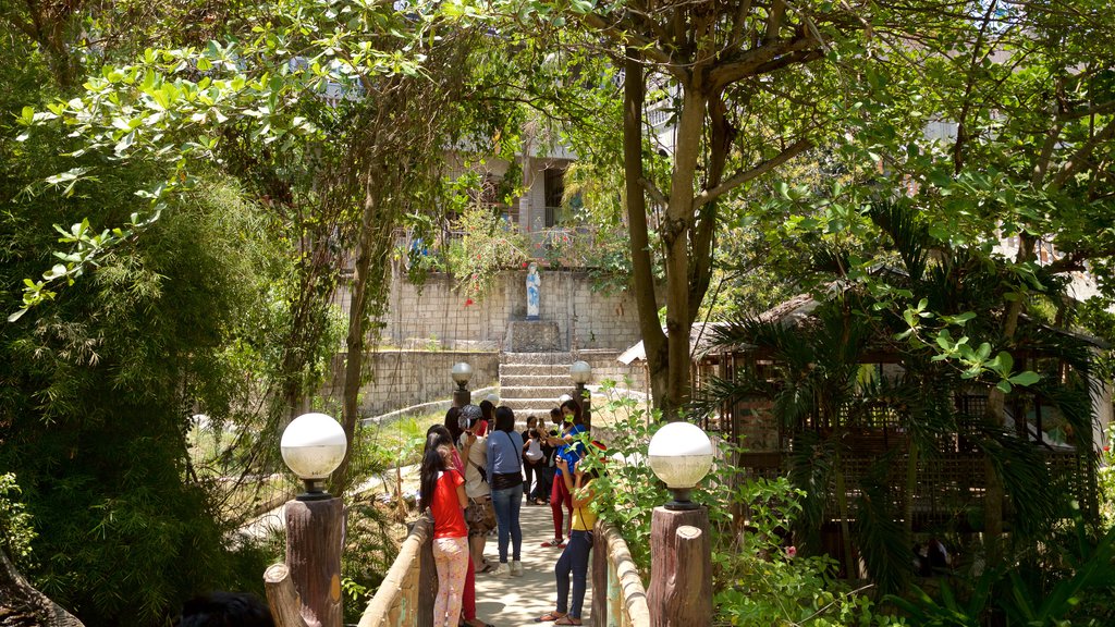 Santuario Simala que incluye imágenes de bosques