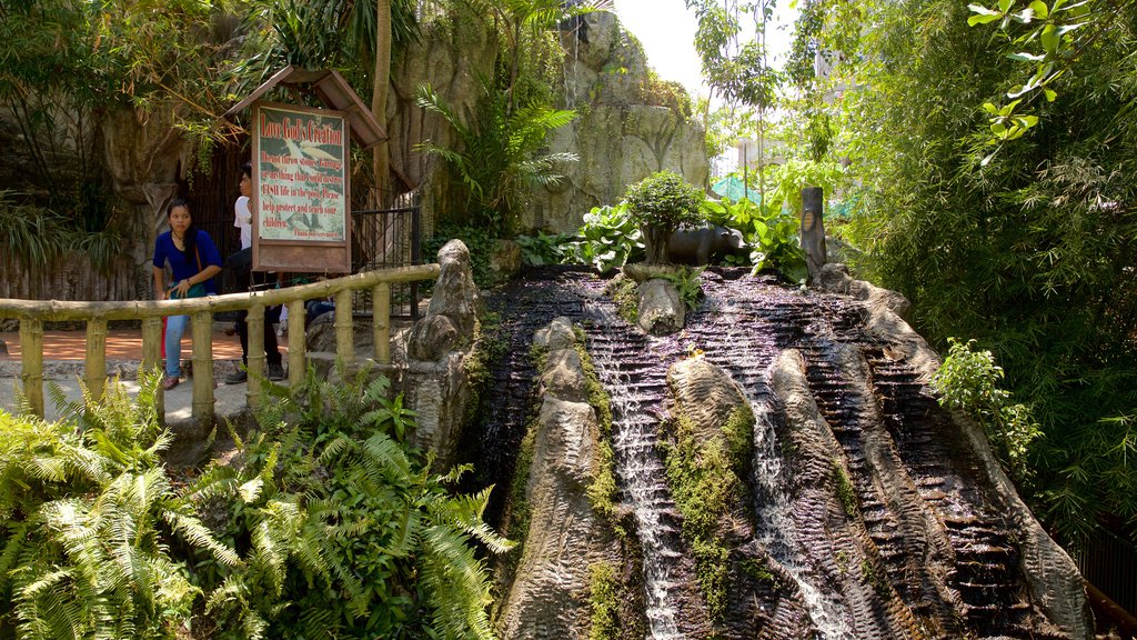 Temple de Simala qui includes chute d\'eau et scènes forestières