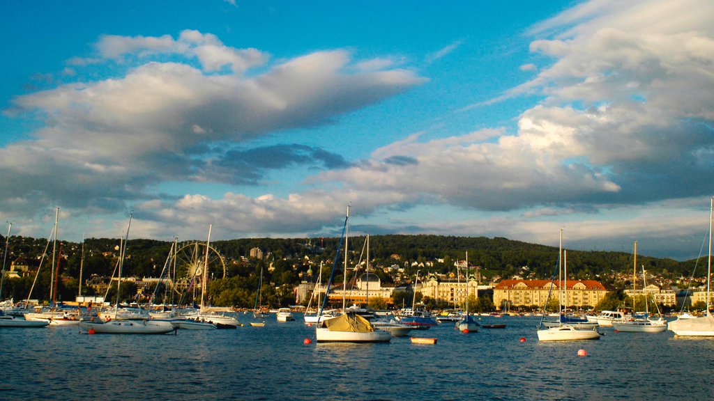 Zürich-sjøen fasiliteter samt kyst og solnedgang