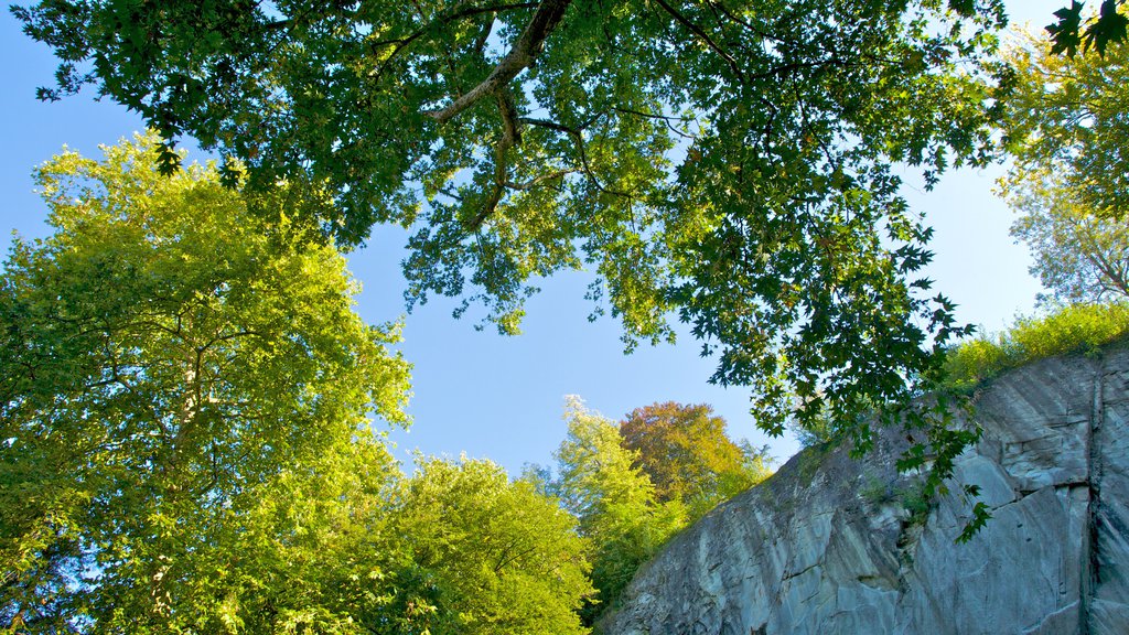 Lion Monument