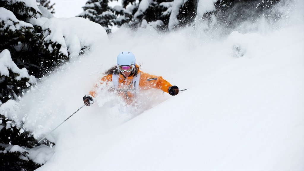 Les Diablerets Ski Resort which includes snow and snow skiing