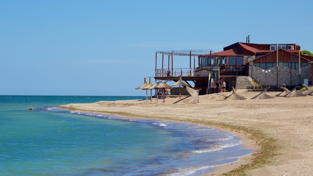 Vama Veche which includes general coastal views and a beach