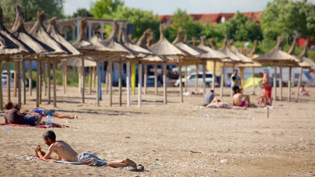 Vama Veche showing a sandy beach