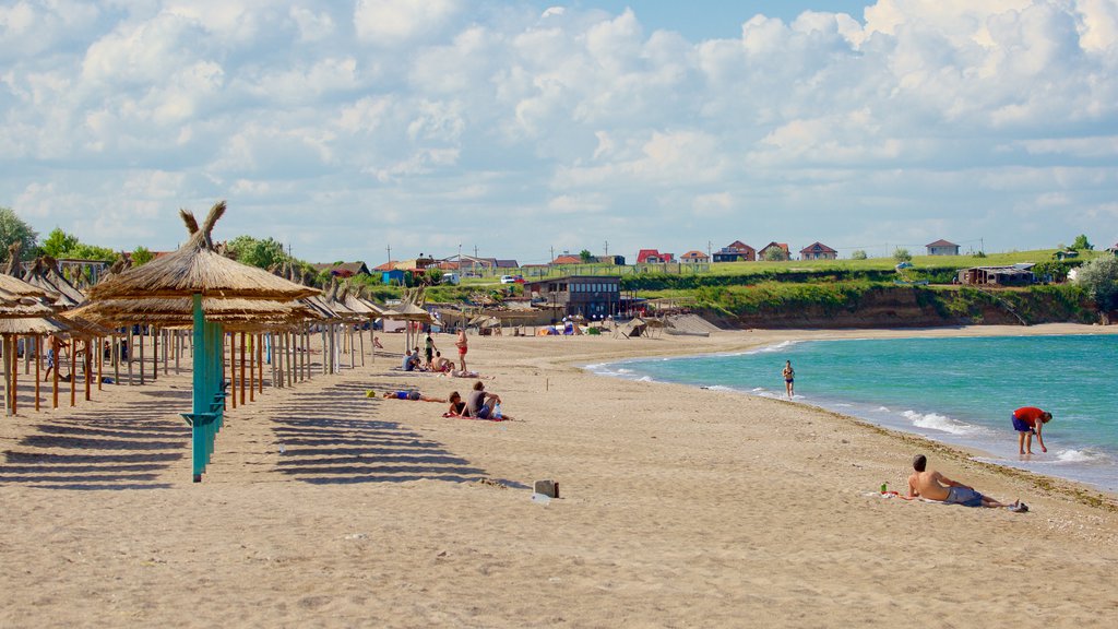 Vama Veche mostrando vistas generales de la costa y una playa de arena