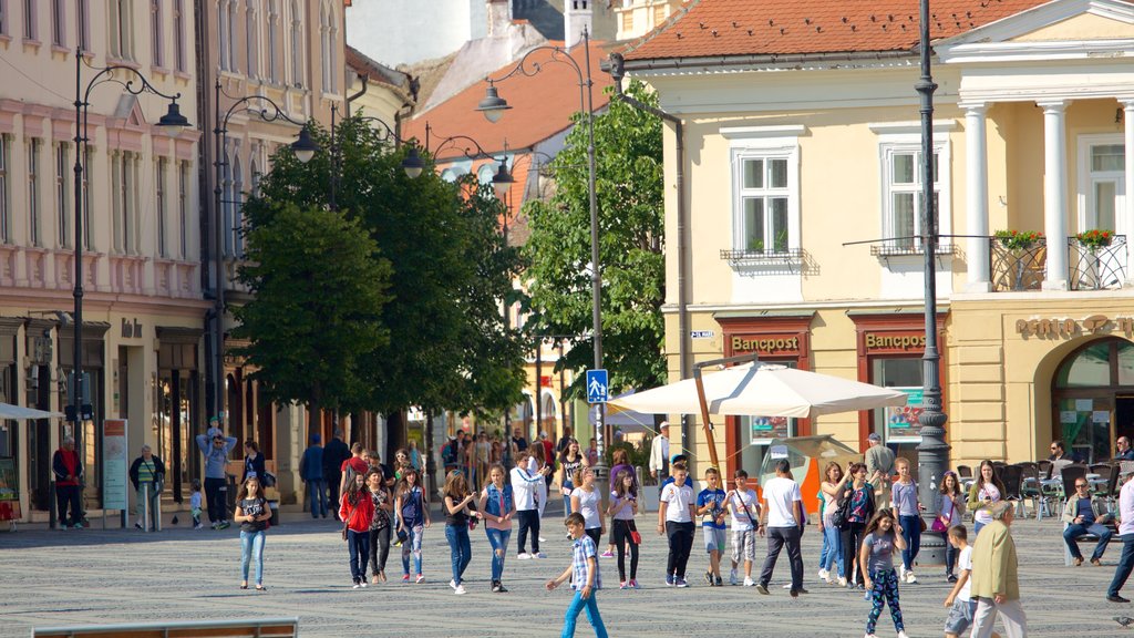 Piata Mare som viser torg eller plass i tillegg til en stor gruppe med mennesker