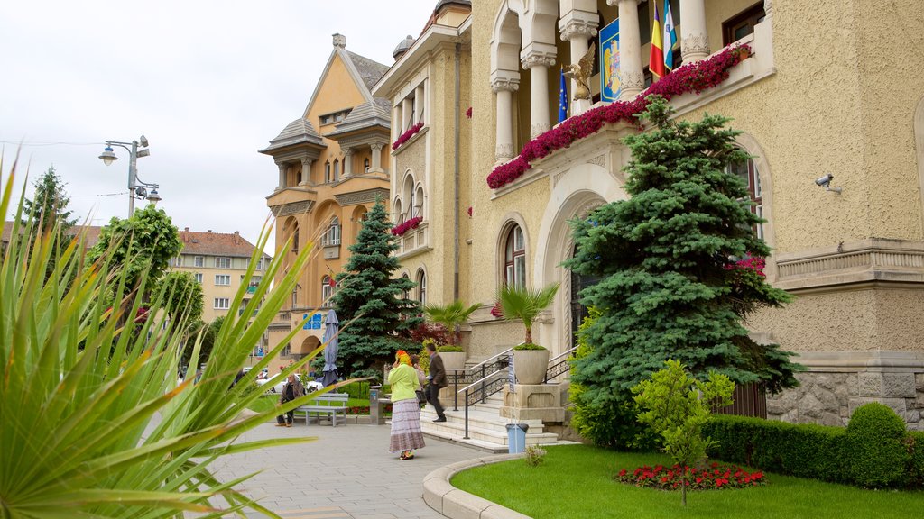 Tirgu Mures showing a garden