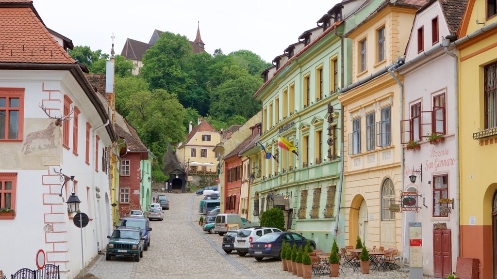 Sighisoara que incluye escenas urbanas y una casa