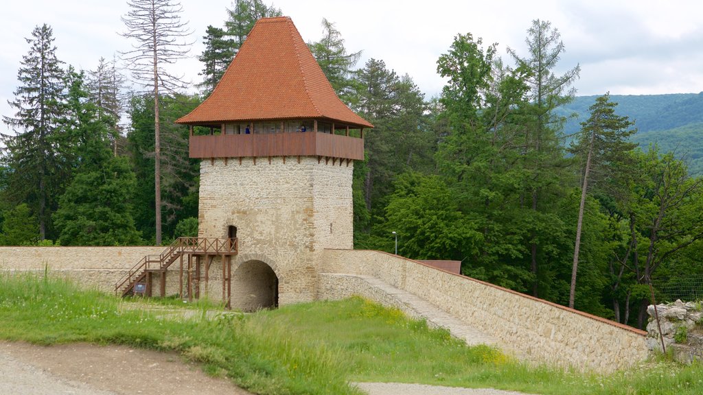 Rasnov Fortress showing heritage elements