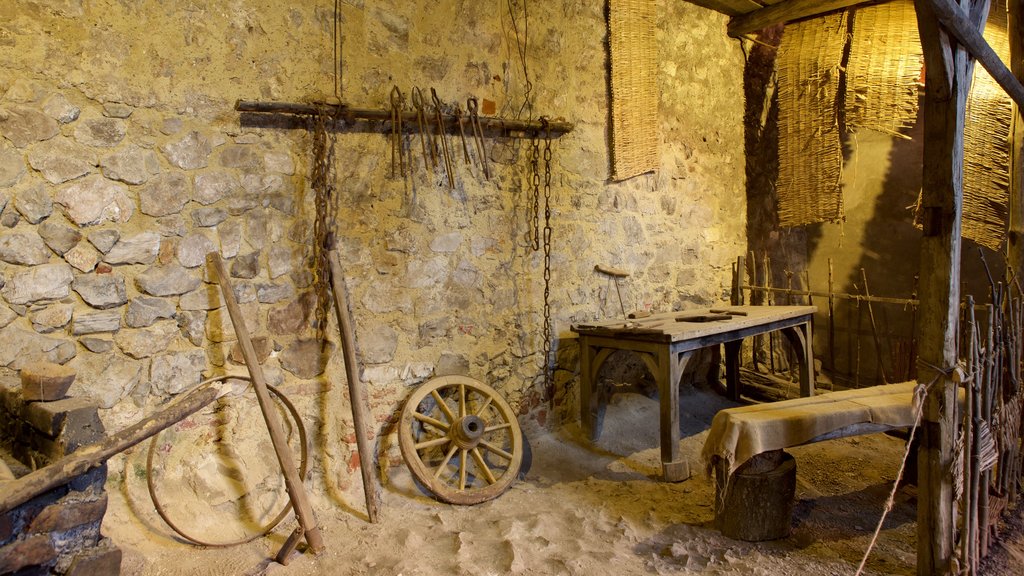 Hunedoara Castle featuring interior views